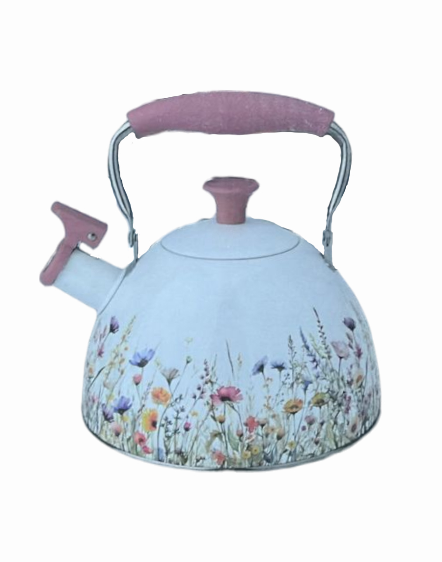 Чайник со свистком Lider Stal 2,5л. LD 2052