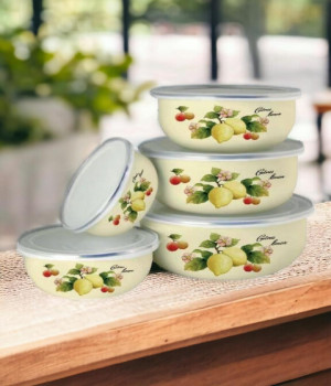 Набор из 5 мисок с крышками Lider Stal LD-1033